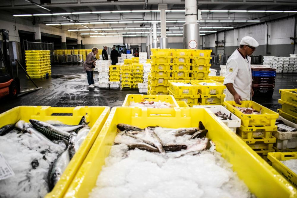 Lonja con cajas de pescado