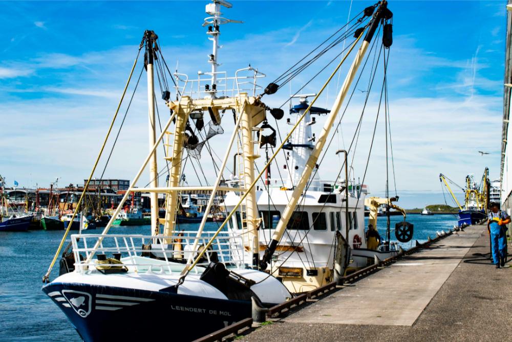 Barco de pesca